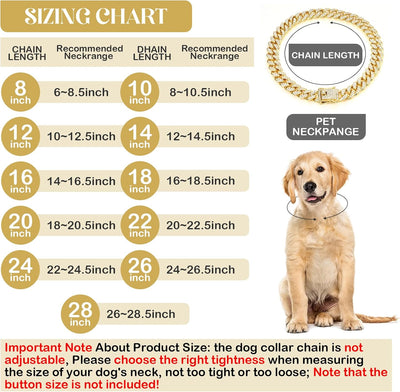 Gold Cuban Link Dog Chain Collar