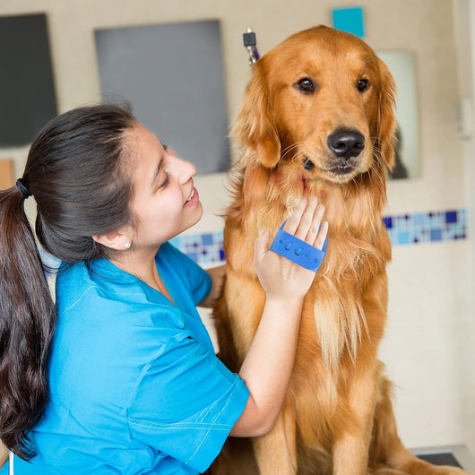 2-Pack Pet Grooming Massage Bath Brushes