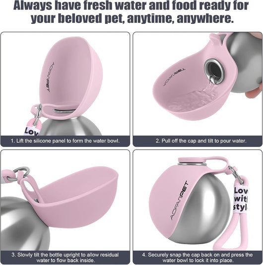 Stainless Steel Dog Water Bottle – 10 oz