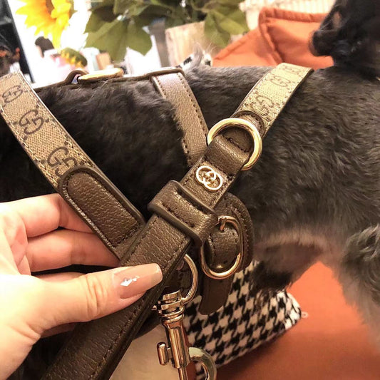 Luxury Monogram Dog Harness Walking Set