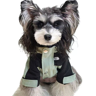 Pet Dog Heritage Clothes