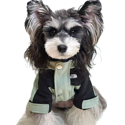 Pet Dog Heritage Clothes