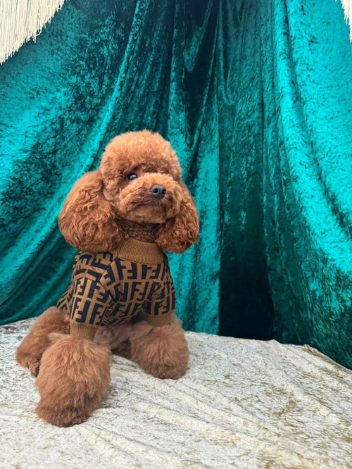 Fency Dog Rewind Sweater