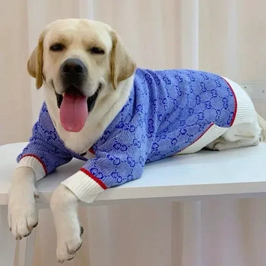 GG Star Cardigan Sweater For Big Dogs