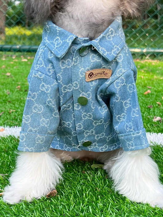 Pet Dog Snatched Clothes