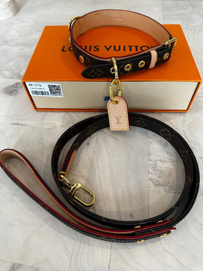 Amelia Dog Collar & Backspin Leash