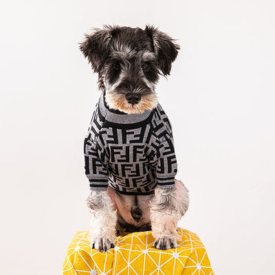 Fency Dog Layered Sweater