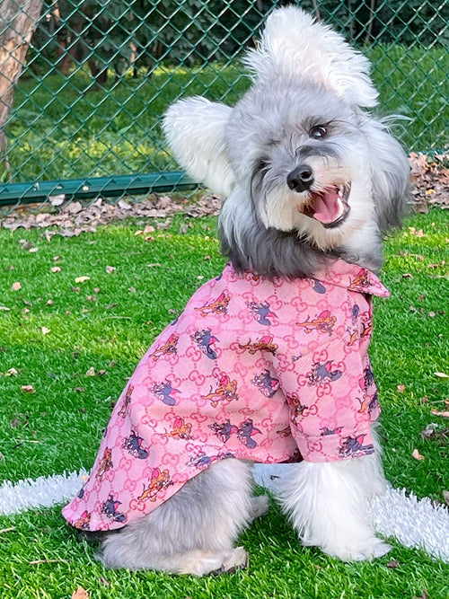 Big Dog GG Breezy Summer Shirt