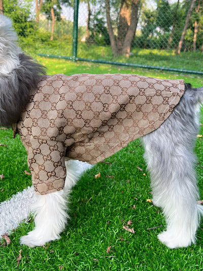 Big Dog GG Chill Shirt