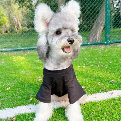 Pet Dog Lo-fi Clothes