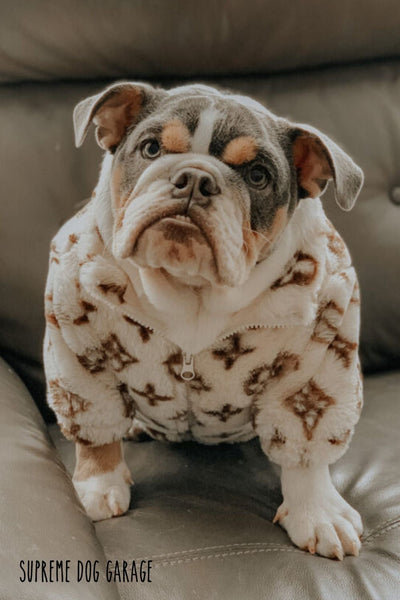 LV Warm Golden Vest