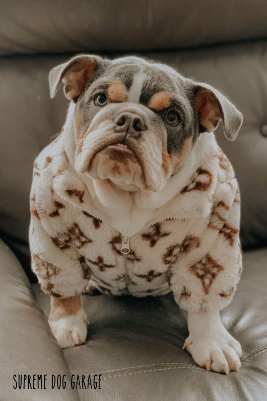 LV Warm Golden Vest