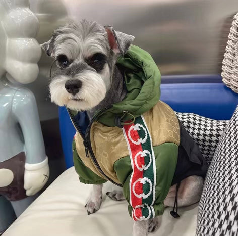 Gigi Fly Winter Jacket With Hood