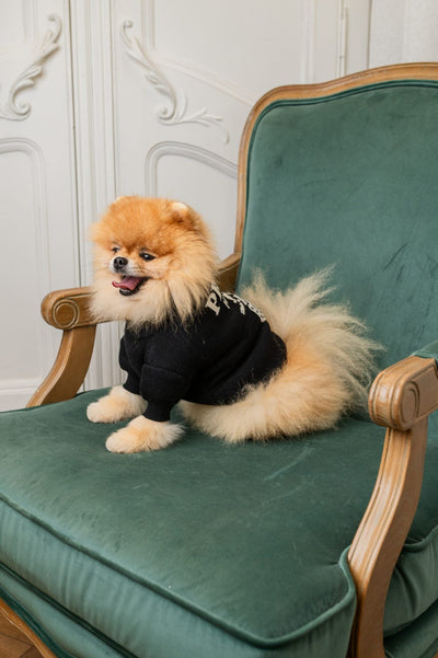 Prada Classic Sleek Sweater