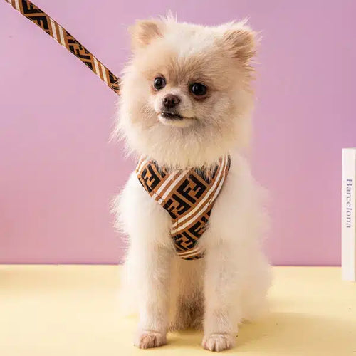 FF Monogram Harness & Leash Wavy Set