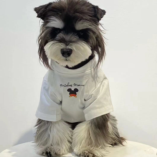 Dog Fresh Air Matching Clothes