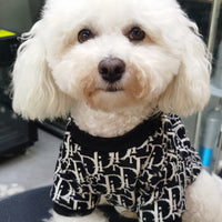 Big Dog DD Cozy Winter Sweater
