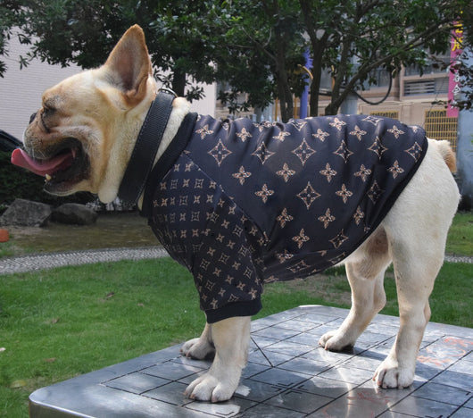 Hype Doggo  Sweater
