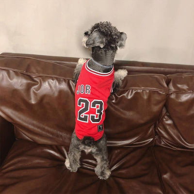 Legends Classic Doggo Whimsical Jersey