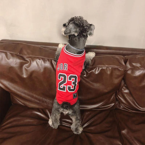 Legends Classic Doggo Whimsical Jersey