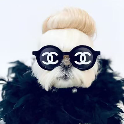 Runway Canine Couture: CC Logo DD Sunglasses