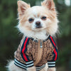 GG Brown Zip Up Bomber Sleek Jacket