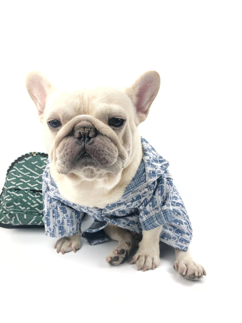Pet Glam Bag