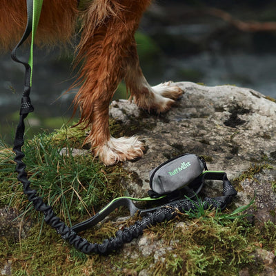 Durable Dog Poop Bag Holder Leash Dispenser