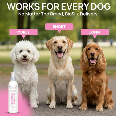 BioSilk Dog Detangling I Shine Therapy Spray