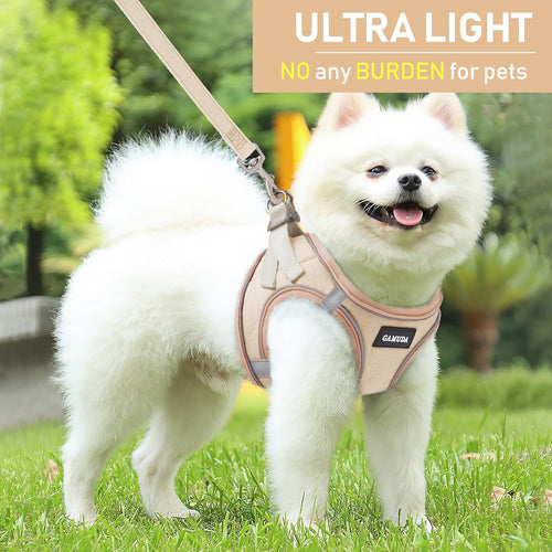 No Pull Dog Harness Set