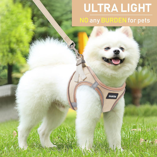 No Pull Dog Harness Set