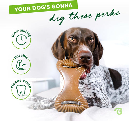 Benebone Bacon Dental Chew for Aggressive Dogs