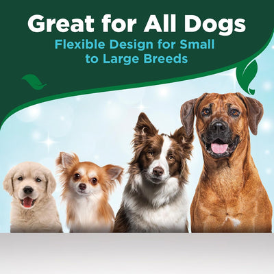Dog Dental Care Kit With Toothpaste Toothbrush