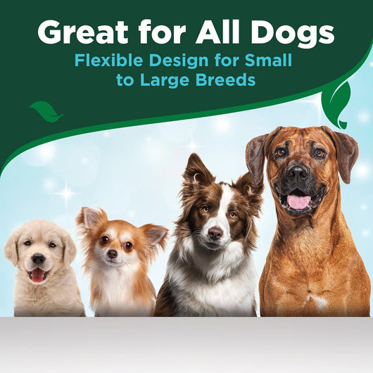 Dog Dental Care Kit With Toothpaste Toothbrush