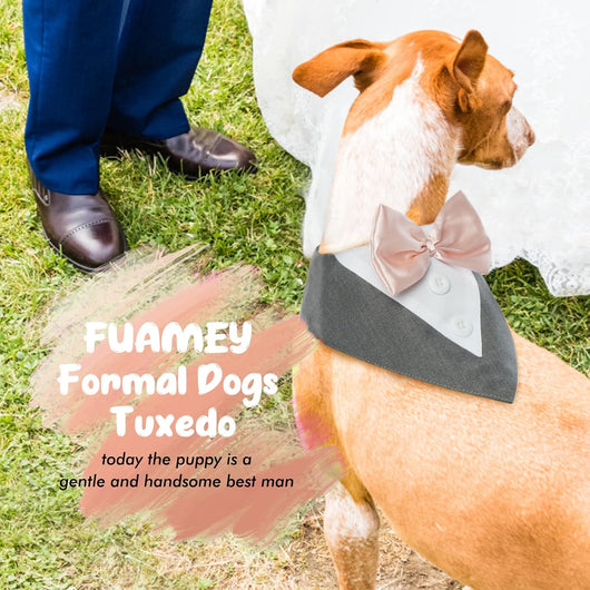 Grey Formal Dog Tuxedo Bandana with Bowtie