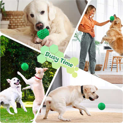 Indestructible Squeaky Dog Ball