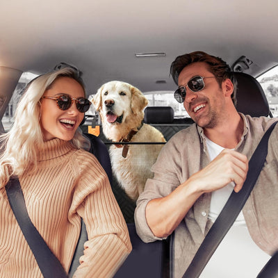 Hard Bottom Dog Car Seat Cover With Expanded Space