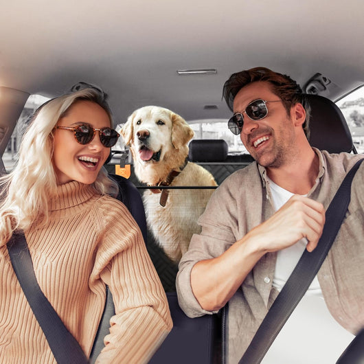 Hard Bottom Dog Car Seat Cover With Expanded Space