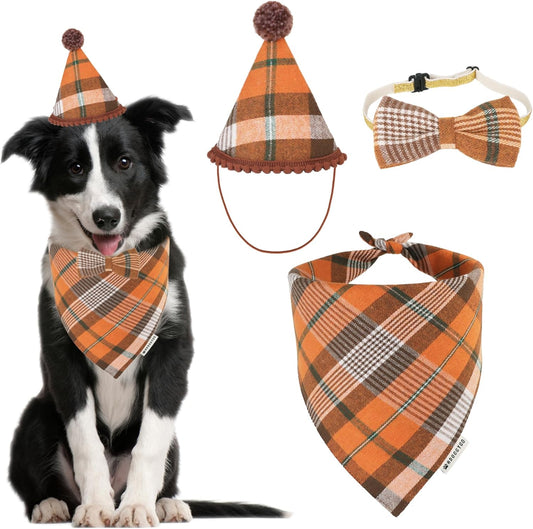 Black and white dog wearing an orange plaid fall bandana and matching party hat beside a bow tie set for Thanksgiving photos