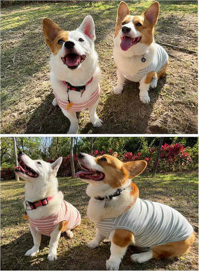2 Pack Dog Stripe Shirts | Breathable Pet Vest | Soft Dog Clothes