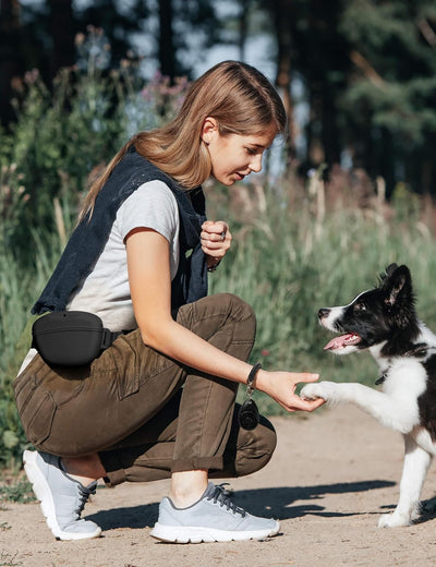 Pro-Grade Silicone Dog Treat Pouch Training Kit