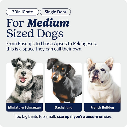 Puppy Crate With Divider For Growing Dogs