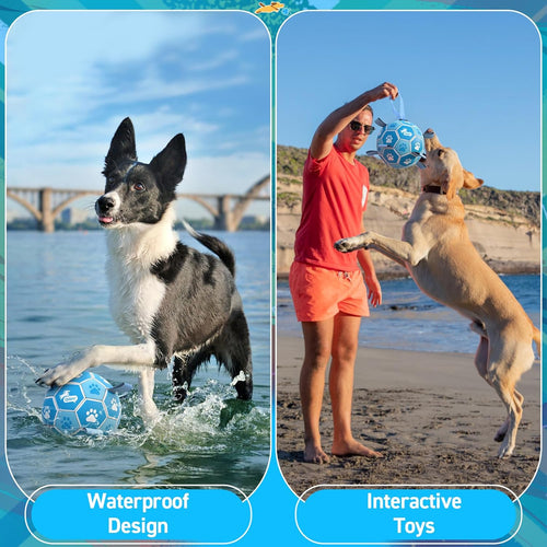 Dog Soccer Ball 6" I Blue Ball toy