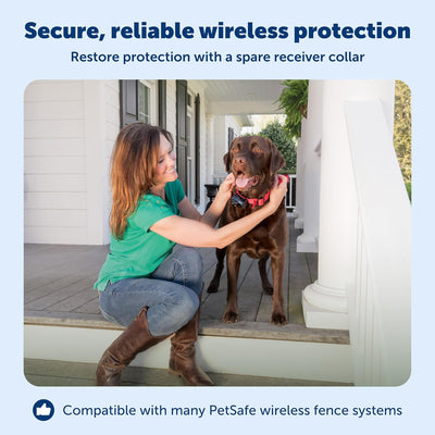 Wireless Dog Fence Receiver Collar