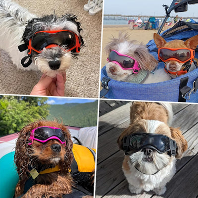 Dog Sunglasses UV Protection Adjustable Small Dogs