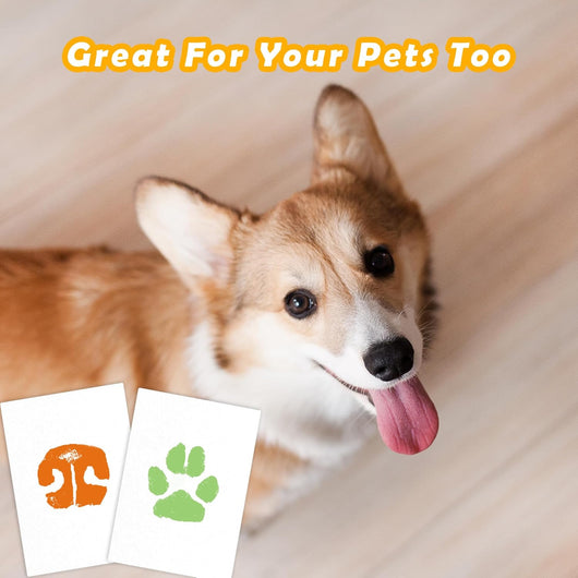 Inkless Hand Footprint Kit For Baby Pets