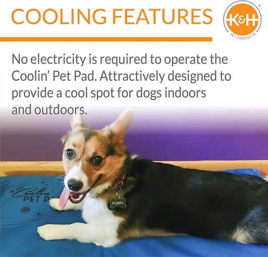 Dog Cooling Mat Portable Summer Heat Relief
