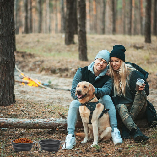 Extra Large Collapsible Dog Bowl 2-Pack