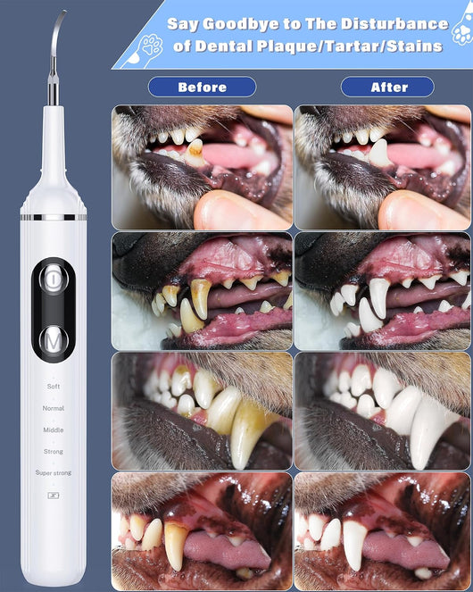 Ultrasonic Dog Toothbrush Dental Cleaning Kit