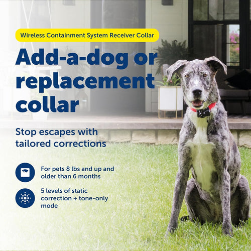 Wireless Dog Fence Receiver Collar